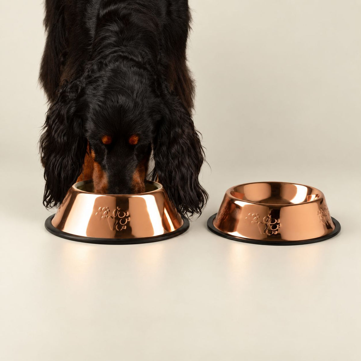 Copper-Style Stainless Steel Pet Bowl – 22cm