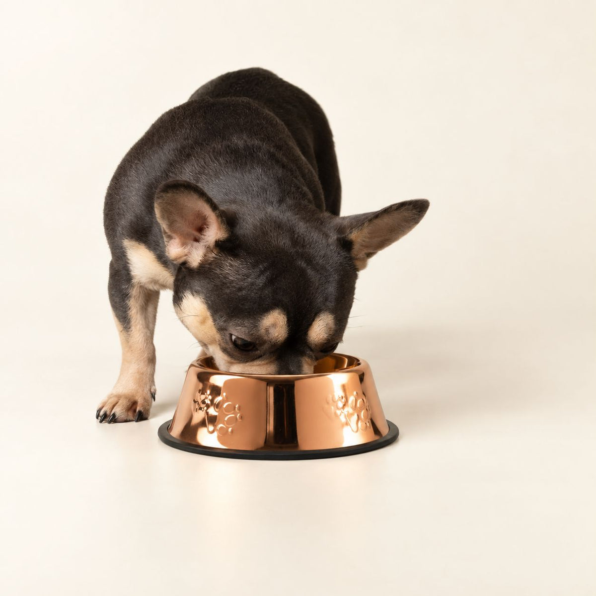 Copper-Style Stainless Steel Pet Bowl – 22cm