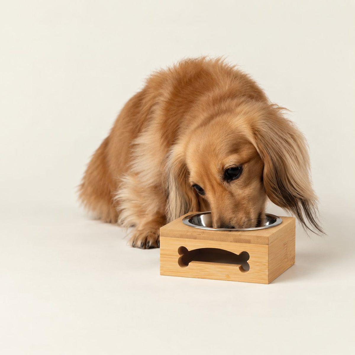 Stainless Steel Pet Bowl with Natural Wooden Stand